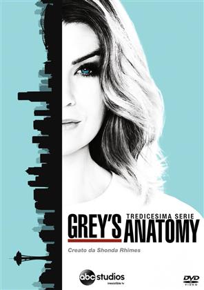 Grey’s Anatomy - Stagione 13 (6 DVDs)