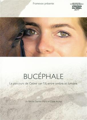Bucéphale - Le parcous de Céline van Till, entre ombre et lumière
