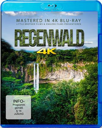 Regenwald (Mastered in 4K)