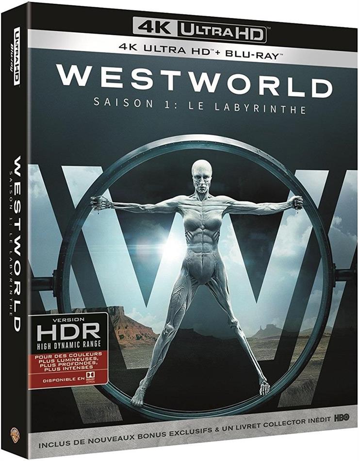 Westworld - Saison 1 - Le Labyrinthe (3 4K Ultra HDs + 3 Blu-rays)