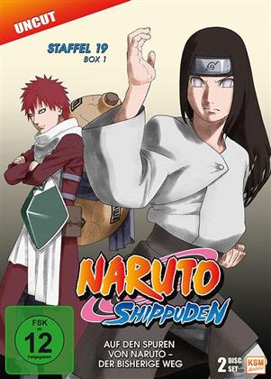 Naruto Shippuden - Staffel 19 Box 1 (Uncut, 2 DVD)