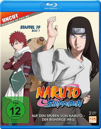 Naruto Shippuden - Staffel 19 Box 1 (Uncut, 2 Blu-rays)
