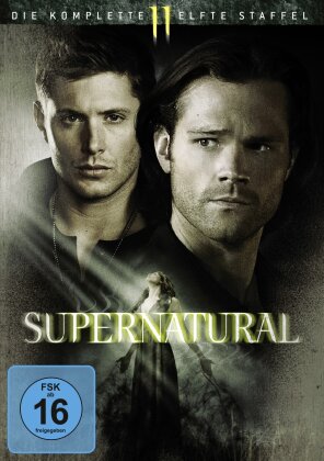 Supernatural - Staffel 11 (6 DVDs)
