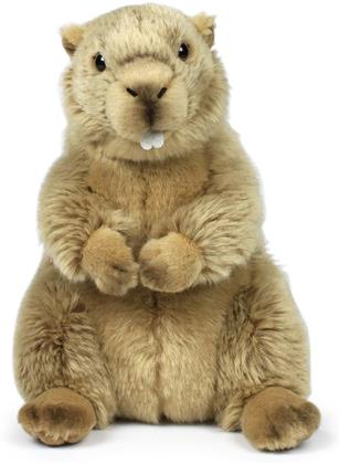 WWF - Murmeltier