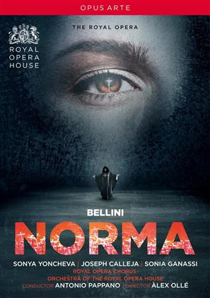 Orchestra of the Royal Opera House, Sir Antonio Pappano, … - Bellini - Norma (Opus Arte)
