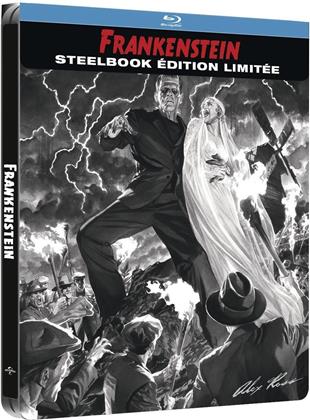 Frankenstein (1931) (b/w, Limited Edition, Steelbook)