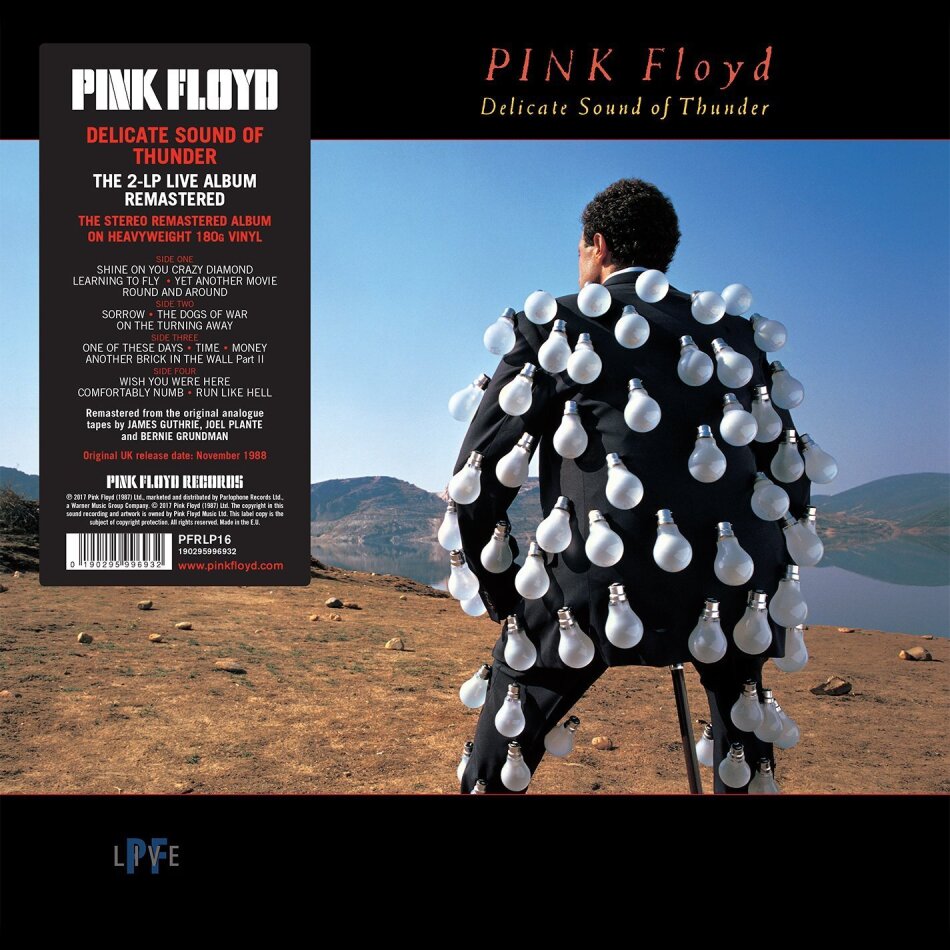 Pink Floyd - Delicate Sound Of Thunder (Gatefold, Remastered, 2 LPs)