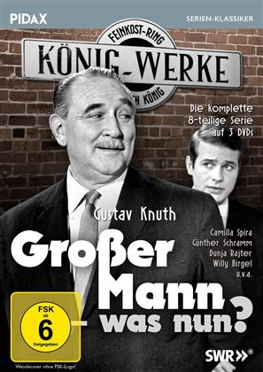 Grosser Mann - was nun? (Pidax Serien-Klassiker, Pidax Serien Klassiker, 3 DVDs)