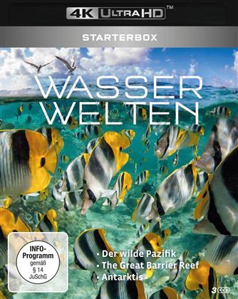 Wasserwelten - Starterbox - Der wilde Pazifik / The Great Barrier Reef / Antarktis (3 4K Ultra HDs)