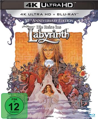 Die Reise ins Labyrinth (1986) (Édition 30ème Anniversaire, 4K Ultra HD + Blu-ray)