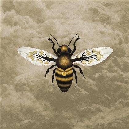 Bees Made Honey In The Vein - Medicine (LP)