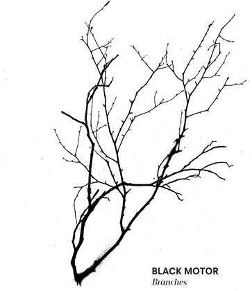 Black Motor - Branches