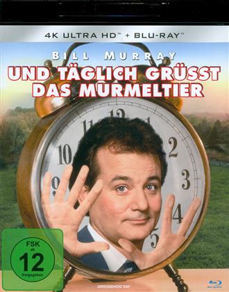 Und täglich grüsst das Murmeltier (1993) (4K Ultra HD + Blu-ray)