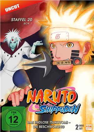 Naruto Shippuden - Staffel 20 Box 1 (Uncut, 2 DVDs)