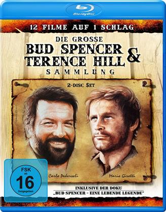 Die grosse Bud Spencer & Terence Hill Sammlung (Neuauflage, 2 Blu-rays)