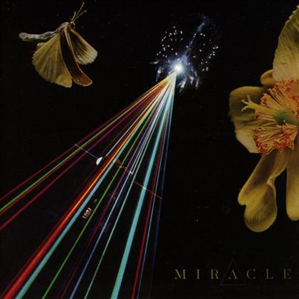 Miracle - Strife Of Love In A Dream