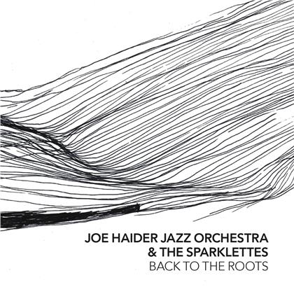 Joe Haider - Back To The Roots