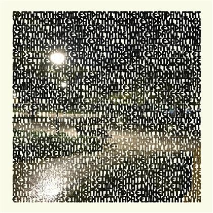 Panda Bear (Animal Collective) - A Day With The Homies (LP)
