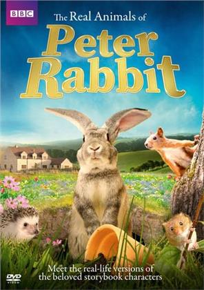 The Real Animals Of Peter Rabbit (BBC)