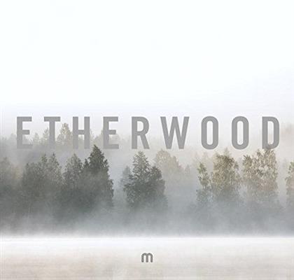 Etherwood - In Stillness (3 LPs)
