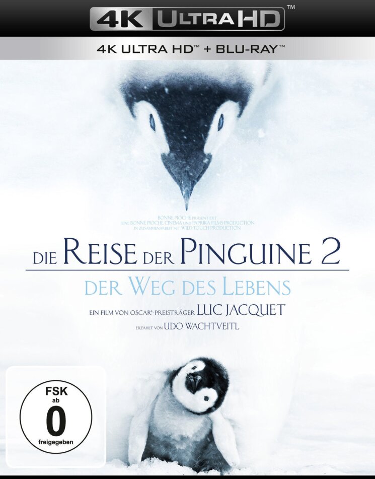 Die Reise der Pinguine 2 - Der Weg des Lebens (2017) (4K Ultra HD + Blu-ray)