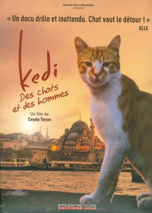 Kedi - Des chats et des hommes (2016) (Digibook)