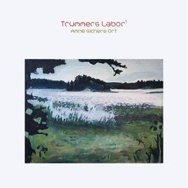 Trummer - Labor1: Amne Sichere Ort