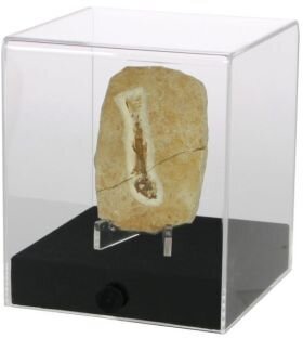 Acryl-Vitrine "Cube" - Grösse: 12 x 12 x 14 cm