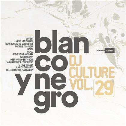 Blanco Y Negro - DJ Culture Vol. 29 (2 CDs)