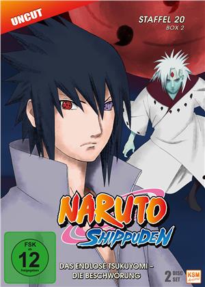 Naruto Shippuden - Staffel 20 Box 2 (Uncut, 2 DVD)