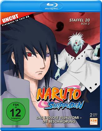 Naruto Shippuden - Staffel 20 Box 2 (Uncut, 2 Blu-rays)