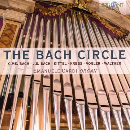 Emanuele Cardi - The Bach Circle