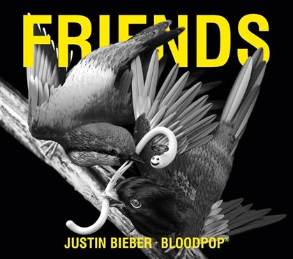Justin Bieber & Bloodpop - Friends - 2-Track Single