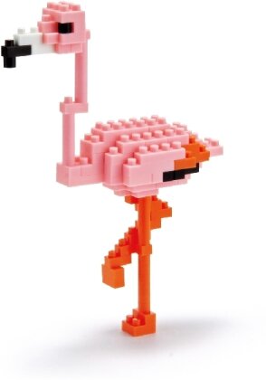 Greater Flamingo 2