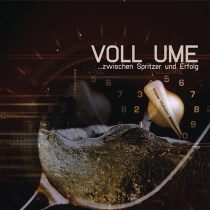 Wiener Wahnsinn - Voll Ume - Zwischen Spritzer und Erfolg