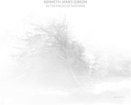 Kenneth James Gibson - In The Fields Of Nothing (LP)