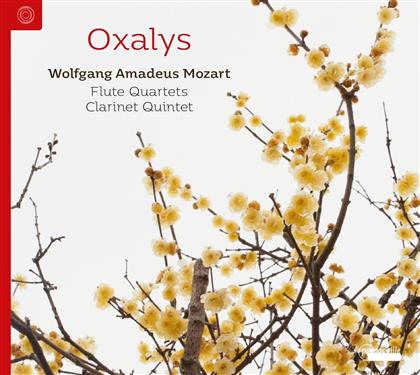 Oxalys & Wolfgang Amadeus Mozart (1756-1791) - Flute Quartets & Clarinetquintet