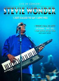 Wonder Stevie - I Just Called To Say I Love Yo (Inofficial)