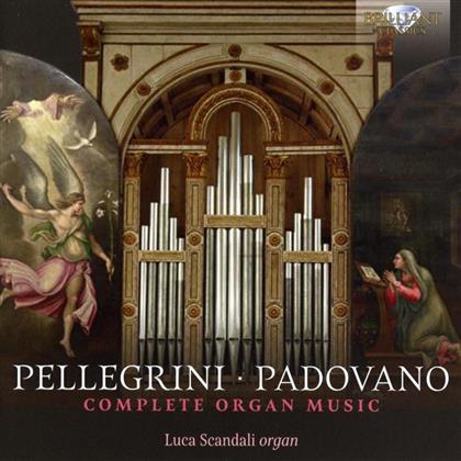 Luca Scandali, Vincenzo Pellegrini (1562-1630) & Annibale Padovano (1527-1575) - Complete Organ Music