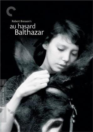 Au Hasard Balthazar (1965) (Criterion Collection)