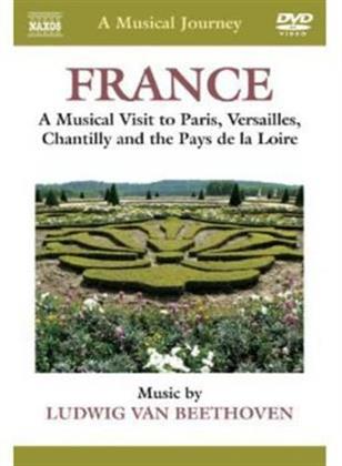 A Musical Journey - France - A Musical Visit to paris, versailles, Chanitlly and the Pays de la Loire (Naxos)