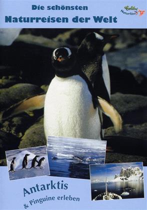 Die schönsten Naturreisen der Welt - Antarktis & Pinguine erleben