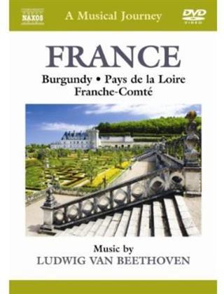 A Musical Journey - France - Burgundy, Pays de la Loire (Naxos)