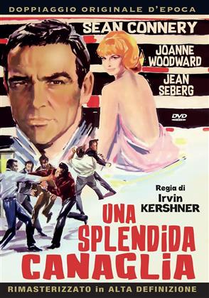 Una splendida canaglia (1966)