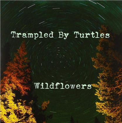 Trampled By Turtles - Wildflowers (RSD 2018, LP)