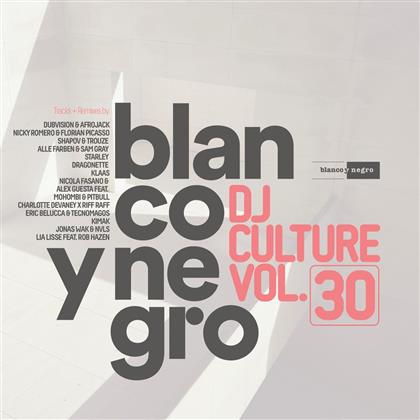 Blanco Y Negro DJ Culture Vol 30 (2 CDs)