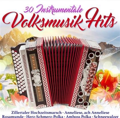 30 instrumentale Volksmusik Hits (2 CD)
