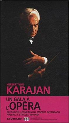 Herbert von Karajan - Un Gala A L'Opera (2 CDs)