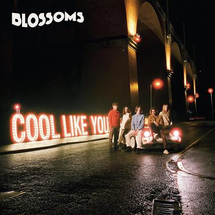 Blossoms - Cool Like You (LP)