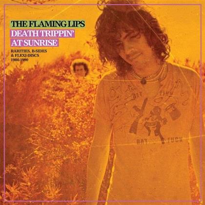 Flaming Lips - Rarities Compilation (LP)